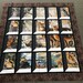 Deer in Attic Window Quilt Kit Buck and Doe Realtree Outdoors Wildlife Hunting Hunters Trees Leaves Fall Autumn Quilt Kit Pattern