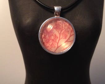 victorian sea moss pendant leather choker