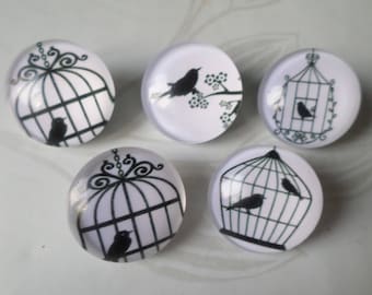 mixed 5 x snaps to glass cage/bird No. 20 mm round jewelry 5