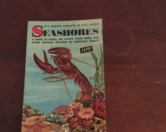 Seashores! Vintage Book - Golden Nature Book by Zim & Ingle. Color Illustrations!