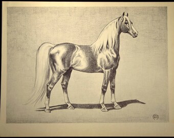 Palomino Horse Print Horse Wall Art Horse Wall Decor Book Page