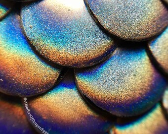 Unicorn Dragon Egg