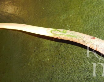 Altar Wand carved from Applewood...Aprox 42 cm in length