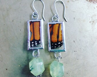 Monarch Butterfly Wing Prehnite Earrings Real Insect Jewelry