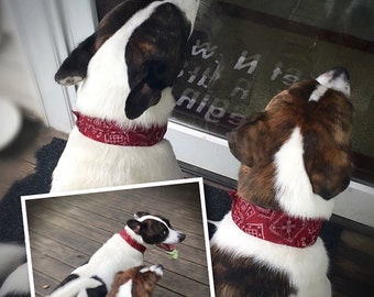 Dog Cooling Collar, Red Bandana Fabric Neck Cooler Band w/ Buckle Adjustable Size Small 10 - 14", Medium 14 - 18", Large 18 - 22" iycbrand