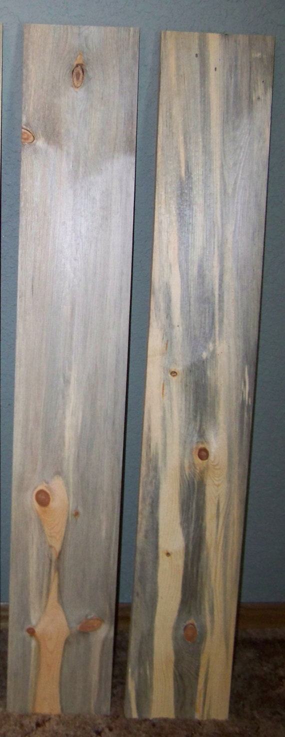 Pine beetle wood for sale