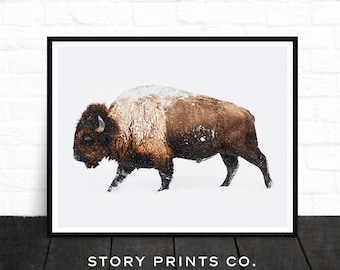 Buffalo Print, Bison Print, Large Wall Art Print, Farmhouse Decor, Animal Prints, Animal Poster Art, Living Room Art, Boys Bedroom Decor