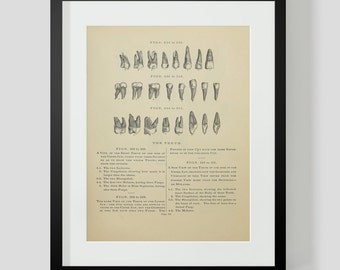 Teeth Print Page 95
