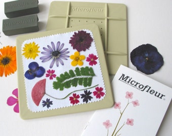 Microfleur Microwave Flower Press 5x5" - For Pressing Flowers in Microwave - pressed flowers - pressed flower art - pressed ferns - leaf art