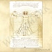 Leonardo da Vinci beautiful replica his Vitruvian Man - sketch - codex - antique repro digital download