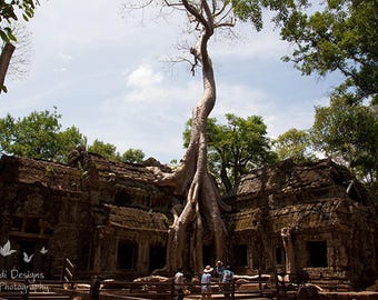 Large Print of Tree temple (Ta Prohm), Siem Reap, Cambodia - Glossy Travel Photography, art for home or offices