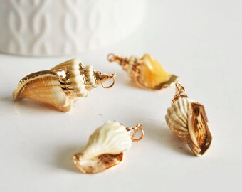 Pendentif coquillage naturel doré, fourniture créative, pendentif doré, création bijoux, coquillage bijou