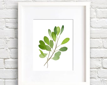 Eucalyptus Leaf Art Print - Nature Wall Decor - Leaves - Watercolor Painting