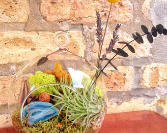 Geode and Air Plant Terrarium - A Unique Fathers Day Gift or Birthday Gift