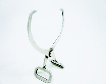 Silver Sugar Tongs Nips, Sterling, Antique, USA, United States, American, Lebkuecher & Co, c.1900, REF:301W