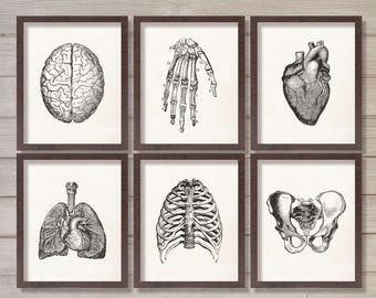  Medical  wall art  Etsy