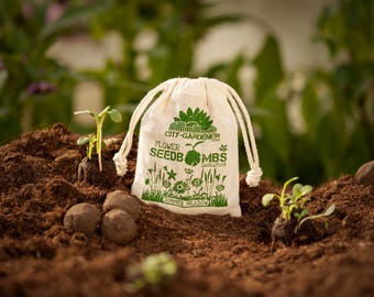 Seed Bombs "Summer Meadow", 8 walnut sized & handmade seed balls