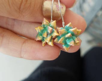 Gold Tipped Succulent