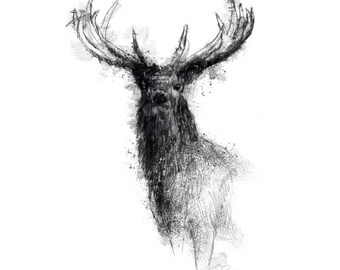 Red stag | Limited edition fine art print from original drawing. Free shipping.