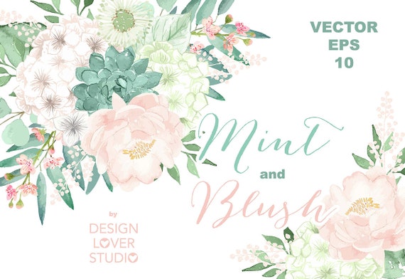 Vector Watercolor Mint and Blush clipart watercolor flower