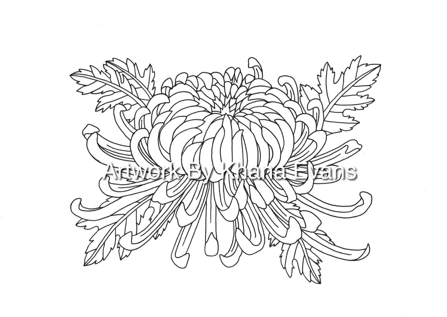 Chrysanthemum Flower Tattoo Design PDF A4 Printout Colouring