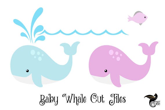 Baby Whale SVG whale svg whale svg whale clipart Cricut