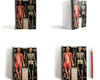 Anatomy Notebook A6 Spiral Bound