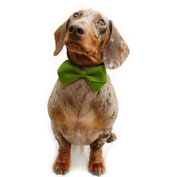 Felt Bow || Dog Bow Tie || Dog Headband || Felt Bow || Doggie Dress Up