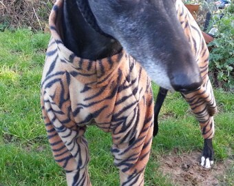 Greyhound& Whippet Pyjamas Tiger Tiger Burning Bright