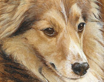 Sheltie ORIGINAL ACEO Painting Acrylic