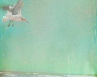 Vintage Seagull Beach Art Print - Blue Green Aqua Pastel Ocean Beach House Wall Art Photograph