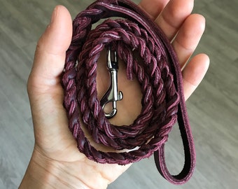 Leather Pocket Leash