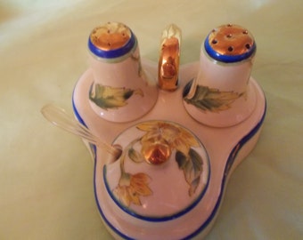 Noritake China Salt,pepper and Condiment Dish