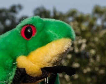 Frog Backpack-Frog Bag-Green Tree Frog-Light Up-Green Backpack-Green Frog-Frog-Backpack-Stuffed Animal-Repurposed-Upcycled-Green-Red-Bag