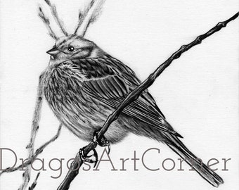 Bird - original art for sale