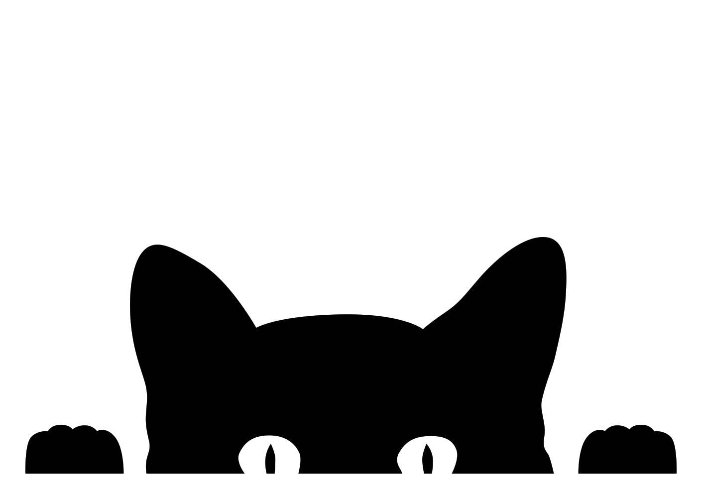 Black White White Cat Black White White Cat
