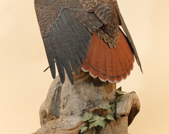 Red-tailed Hawk Wood Carving