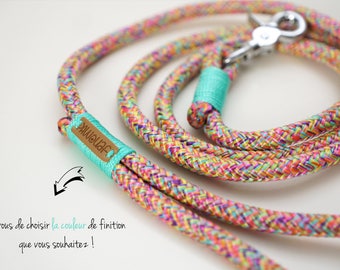 Paracord dog leash Multicolor / PPM Cord dog leash / Rope dog lead / Dog accessories / Leash for small dog / Leash for large dog
