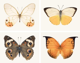 Butterfly Wall Art Set, Fine Art Photography Print Set, Orange, Brown, Yellow, Photo Set, Set of 4 Butterfly Photos, Butterfly Art Print Set