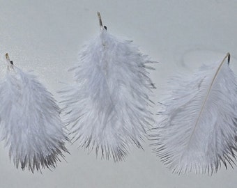 Small White Ostrich Feathers