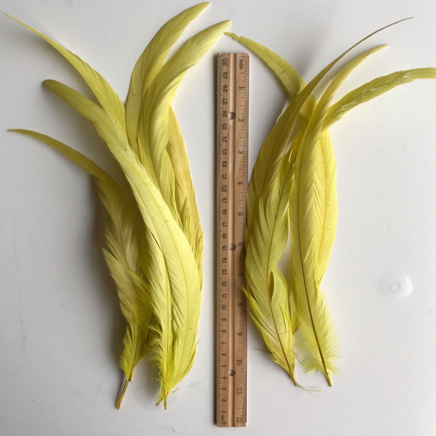 COQUE TAIL FEATHERS Loose / Canary Yellow/ 182