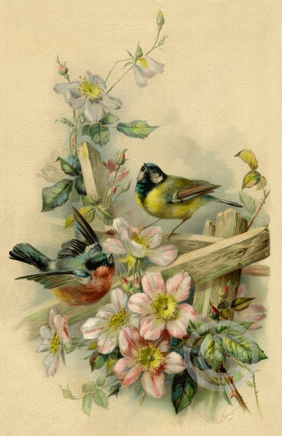 Victorian Birds and Flowers Print Old time Roses Garden
