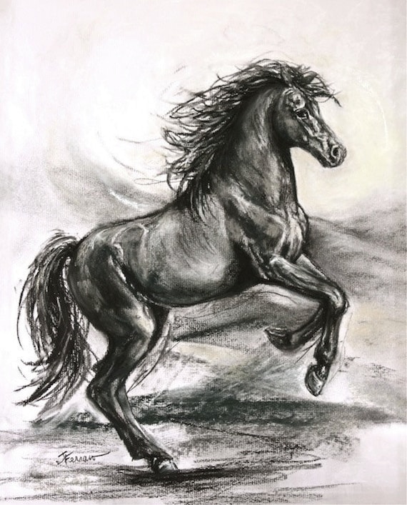 Original horse charcoal drawing-original illustration-original