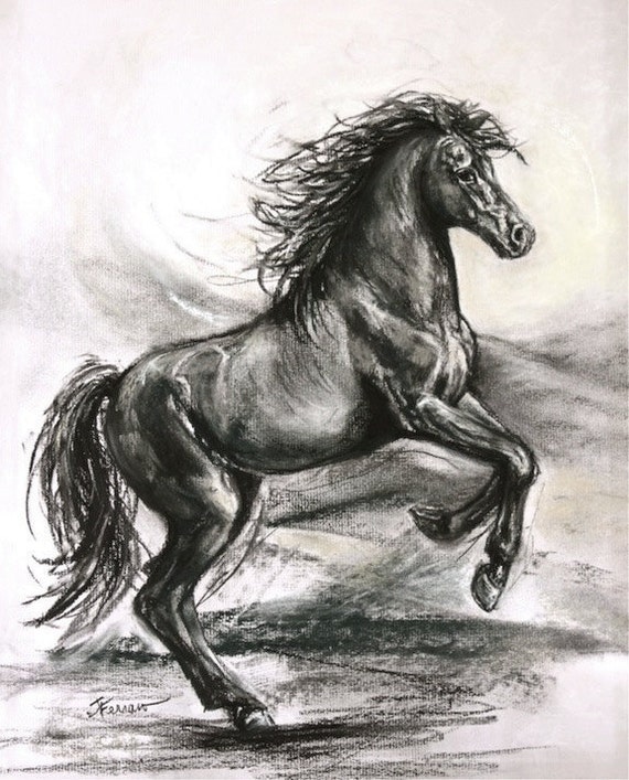 Original horse charcoal drawingoriginal illustrationoriginal