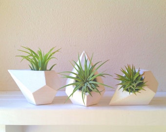 Geometric teardrop air plant holder gift set, mini planters