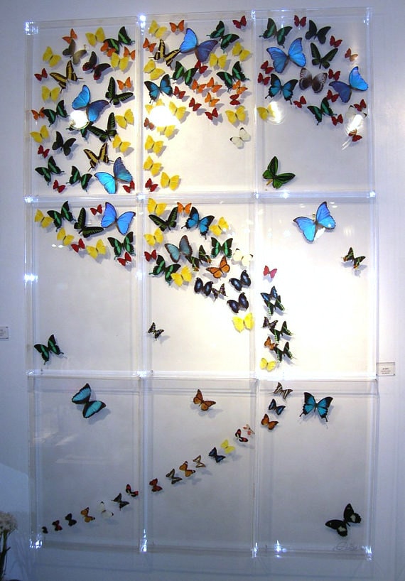Nine Panel Mural custom made with real butterflies from around the world very colorful - Mariposa Gallery Marshall Hill