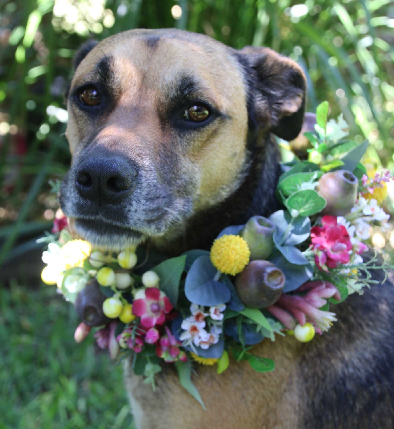 Dog flower crown collar. Flower garland for dogs.