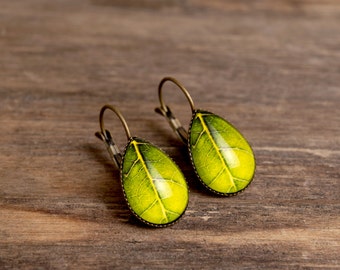 Green leaf earrings, nature earrings, tear drop earrings, dangle earrings, antique brass earrings, tree leaf earrings, glass dome earrings