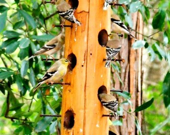 Unique wooden bird feeders poles houses by ...