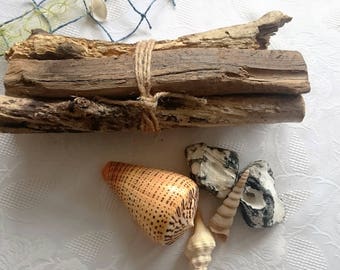 Decoration object Driftwood bundle IV